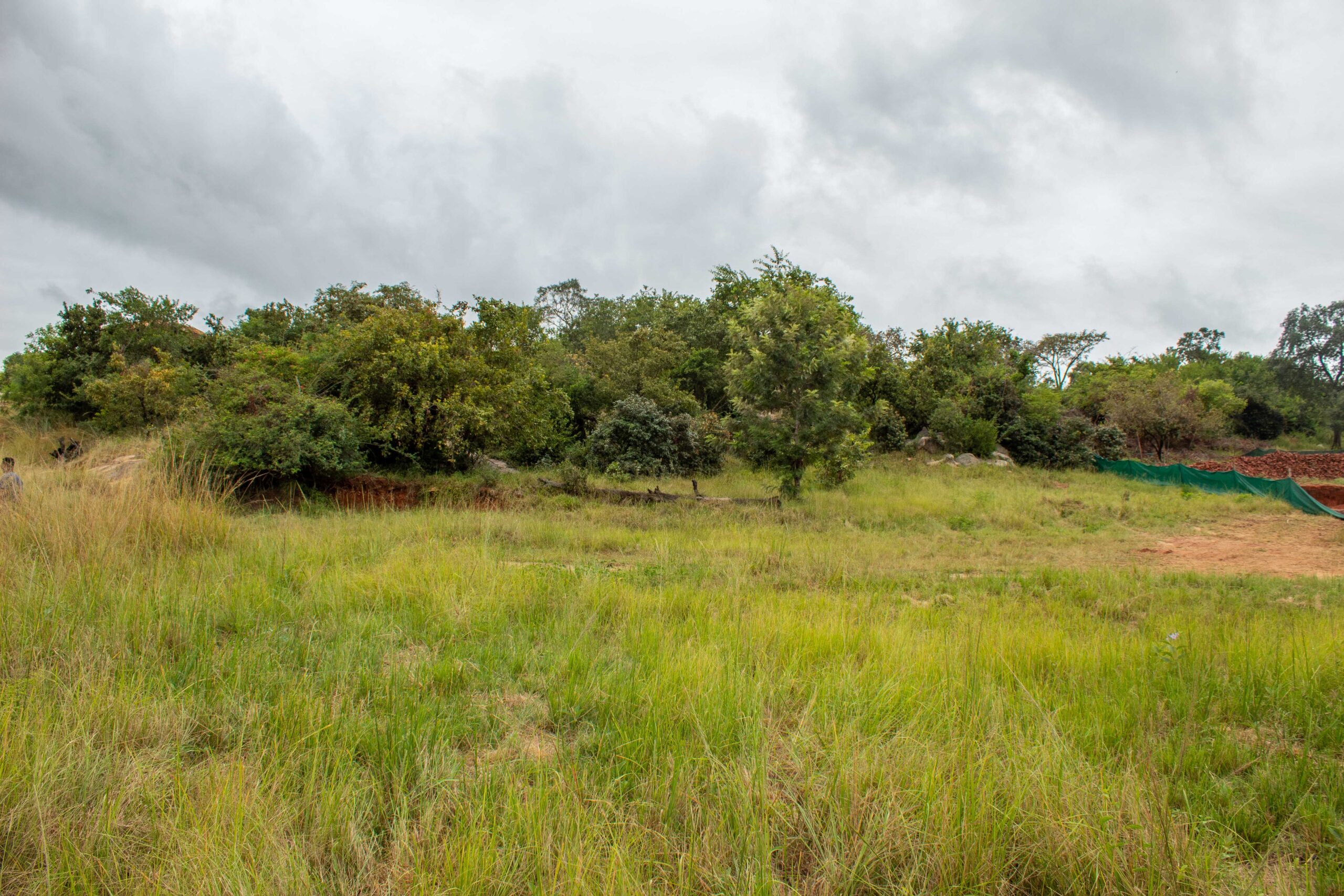 Stand For Sale Ntulo Wildlife Estate