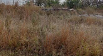 Land in Kamagugu