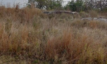 Land in Kamagugu